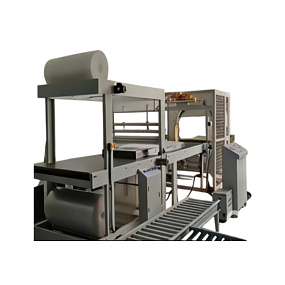 Линия для упаковки продукции в ВПП и стрейч-пленку TFZ400